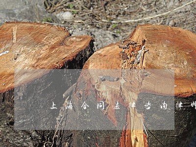 上海合同法律咨询律师 上海合同法律咨询律师