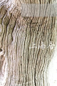 上海合同请律师咨询费是多少 上海合同请律师咨询费是多少