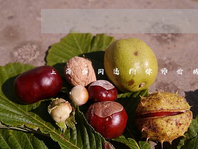 上海合同违约律师价格 上海合同违约律师价格