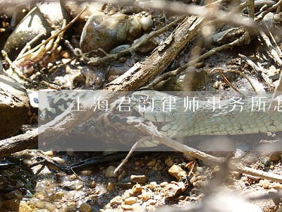 上海君韵律师事务所怎么样 上海君韵律师事务所怎么样