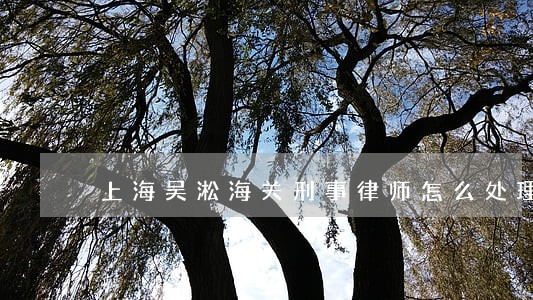 上海吴淞海关刑事律师怎么处理 上海吴淞海关刑事律师怎么处理