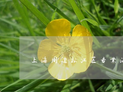上海周边松江区专业海关律师推荐 上海周边松江区专业海关律师推荐
