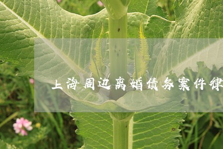 上海周边离婚债务案件律师费用 上海周边离婚债务案件律师费用