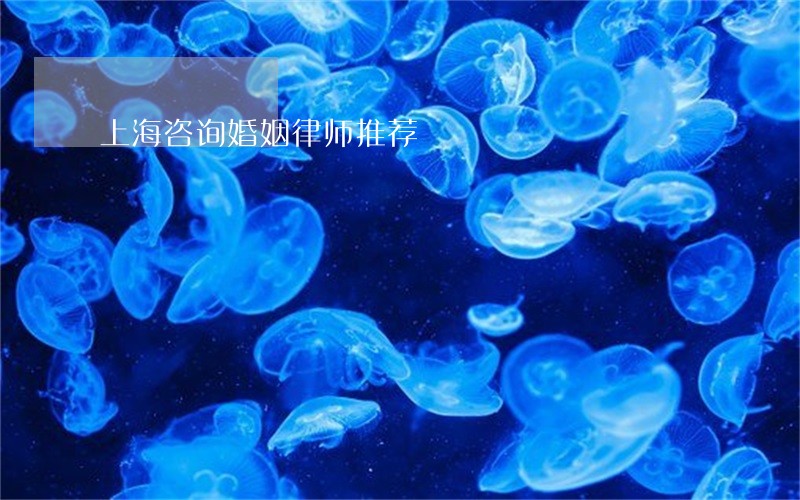 上海咨询婚姻律师推荐 上海咨询婚姻律师推荐