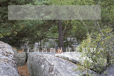 上海咨询法律离婚财产 上海咨询法律离婚财产