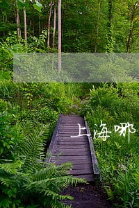 上海哪里找债权债务律师 上海哪里找债权债务律师