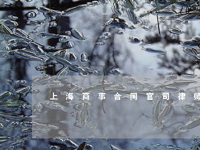 上海商事合同官司律师收费 上海商事合同官司律师收费