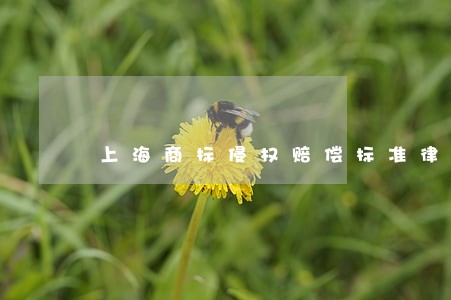上海商标侵权赔偿标准律师价格 上海商标侵权赔偿标准律师价格