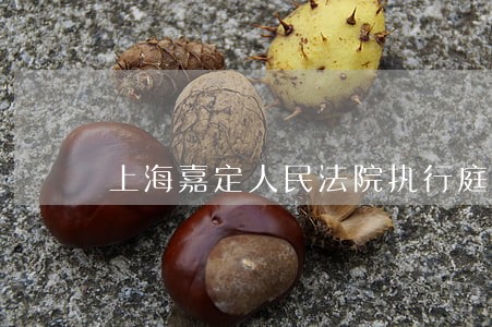上海嘉定人民法院执行庭电话 上海嘉定人民法院执行庭电话