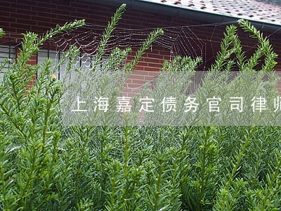 上海嘉定债务官司律师
