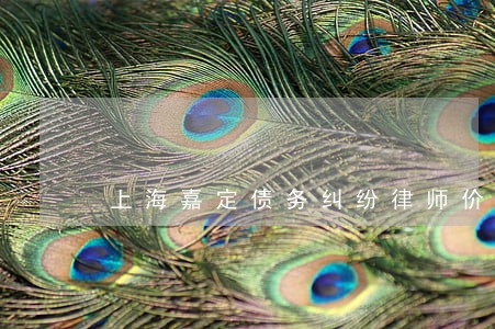 上海嘉定债务纠纷律师价格 上海嘉定债务纠纷律师价格