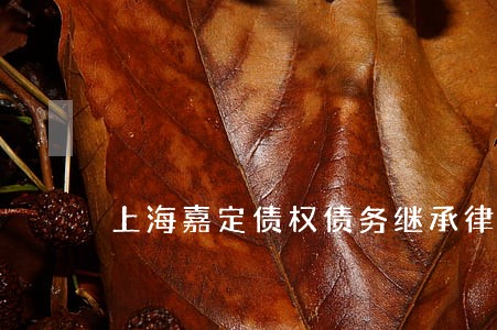 上海嘉定债权债务继承律师 上海嘉定债权债务继承律师