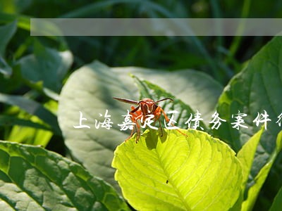 上海嘉定区债务案件律师咨询 上海嘉定区债务案件律师咨询