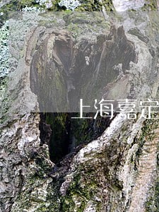上海嘉定区债务案件律师电话 上海嘉定区债务案件律师电话