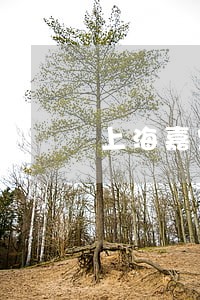 上海嘉定区债务纠纷律师电话 上海嘉定区债务纠纷律师电话