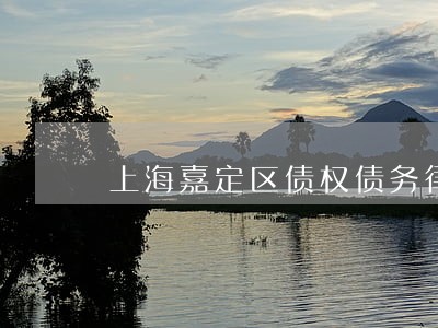 上海嘉定区债权债务律师咨询服务 上海嘉定区债权债务律师咨询服务