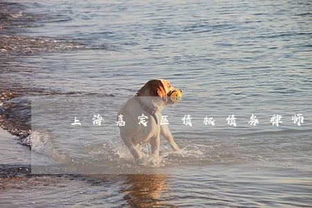 上海嘉定区债权债务律师电话多少 上海嘉定区债权债务律师电话多少