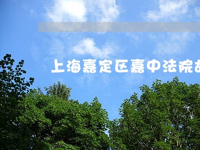 上海嘉定区嘉中法院胡乱判案 上海嘉定区嘉中法院胡乱判案