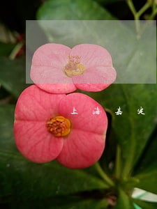 上海嘉定区欠款追讨律师咨询服务 上海嘉定区欠款追讨律师咨询服务