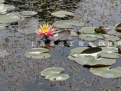 上海嘉定工程欠款律师电话多少 上海嘉定工程欠款律师电话多少