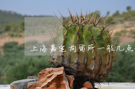 上海嘉定拘留所一般几点放人