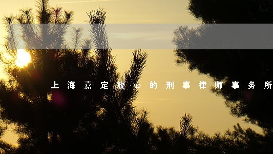 上海嘉定放心的刑事律师事务所 上海嘉定放心的刑事律师事务所