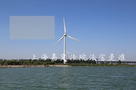 上海嘉定法院法官是谁 上海嘉定法院法官是谁