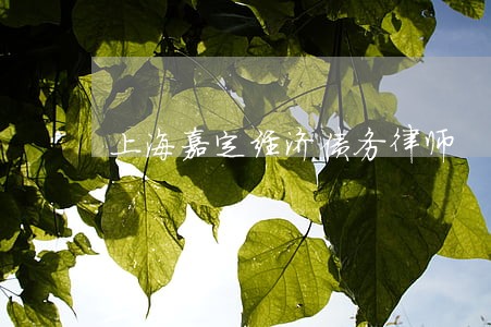 上海嘉定经济债务律师 上海嘉定经济债务律师