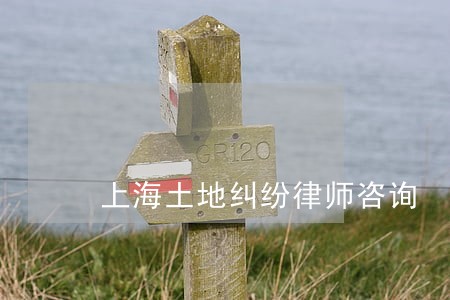 上海土地纠纷律师咨询 上海土地纠纷律师咨询