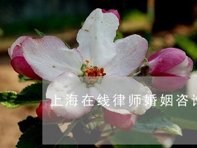 上海在线律师婚姻咨询 上海在线律师婚姻咨询