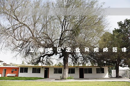 上海地区企业风险防范律师推荐 上海地区企业风险防范律师推荐