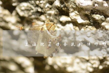 上海地区债务执行律师哪个好 上海地区债务执行律师哪个好