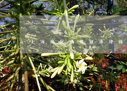 上海地区债务继承律师收费标准