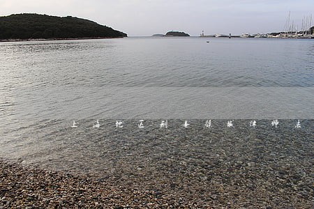 上海地区刑事领域律师法律咨询 上海地区刑事领域律师法律咨询