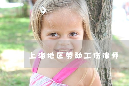 上海地区劳动工伤律师 上海地区劳动工伤律师
