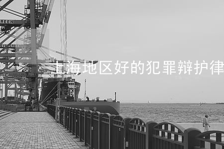 上海地区好的犯罪辩护律师 上海地区好的犯罪辩护律师