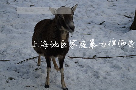 上海地区家庭暴力律师费用 上海地区家庭暴力律师费用