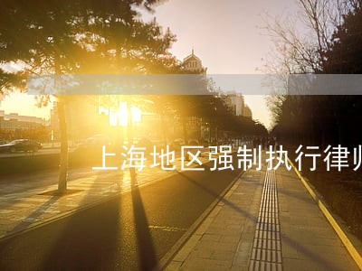 上海地区强制执行律师电话多少 上海地区强制执行律师电话多少