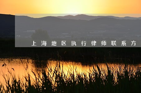 上海地区执行律师联系方式 上海地区执行律师联系方式