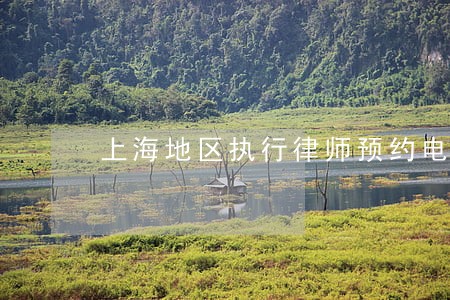 上海地区执行律师预约电话 上海地区执行律师预约电话