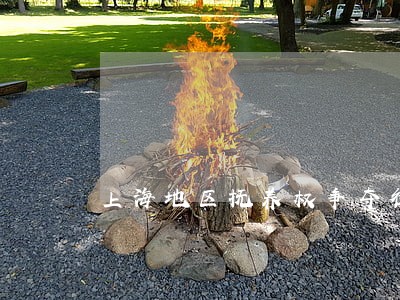 上海地区抚养权争夺律师咨询 上海地区抚养权争夺律师咨询