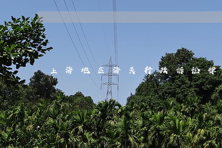 上海地区海关行政诉讼律师咨询