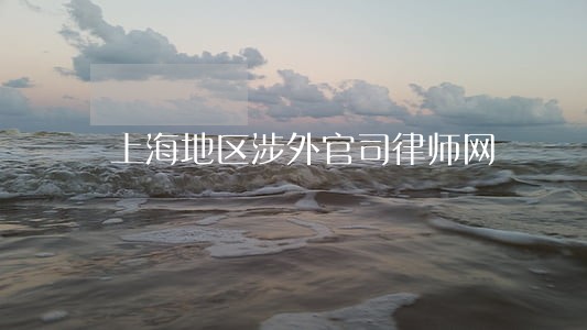 上海地区涉外官司律师网