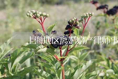 上海地区离婚财产律师事务所 上海地区离婚财产律师事务所