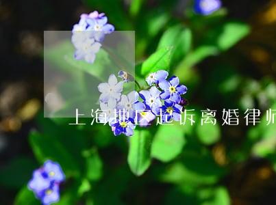 上海地区起诉离婚律师推荐 上海地区起诉离婚律师推荐