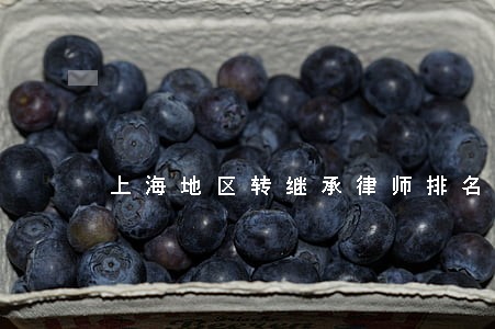 上海地区转继承律师排名 上海地区转继承律师排名