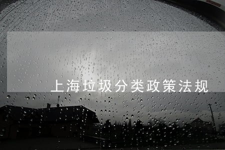 上海垃圾分类政策法规 上海垃圾分类政策法规