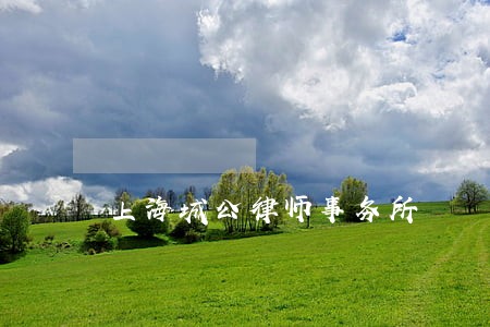 上海城公律师事务所 上海城公律师事务所