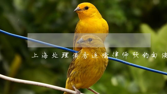 上海处理债务追偿律师预约面谈 上海处理债务追偿律师预约面谈