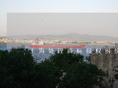 上海处理商标侵权纠纷 上海处理商标侵权纠纷